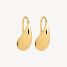 Load image into Gallery viewer, Eau Earrings