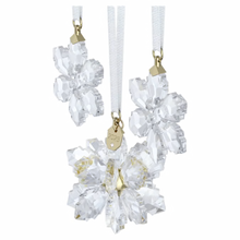 Load image into Gallery viewer, Annual Edition: 3D Ornament Set 2026