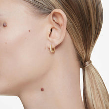 Load image into Gallery viewer, Matrix Hoop Earrings