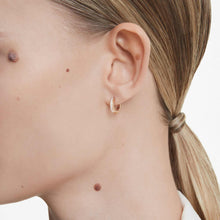 Load image into Gallery viewer, Matrix Hoop Earrings