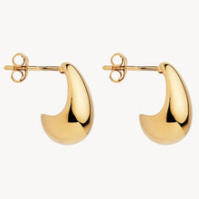 Load image into Gallery viewer, Baby Umbra Earrings