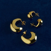 Load image into Gallery viewer, Baby Umbra Earrings