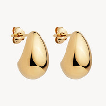 Load image into Gallery viewer, Baby Umbra Earrings