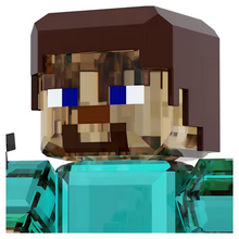 Load image into Gallery viewer, Minecraft: Steve
