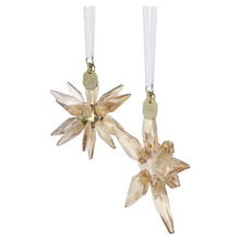 Load image into Gallery viewer, Annual Edition: Festive 3D Ornament Set 2025