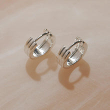 Load image into Gallery viewer, Carrousel Huggie Earrings