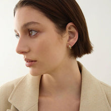Load image into Gallery viewer, Carrousel Huggie Earrings