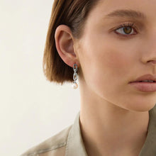 Load image into Gallery viewer, Clair de Lune Earrings
