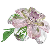 Load image into Gallery viewer, Florere: Camellia