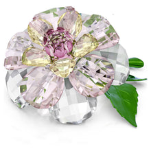 Load image into Gallery viewer, Florere: Camellia