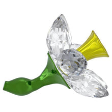 Load image into Gallery viewer, Florere: Daffodil