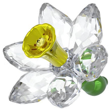 Load image into Gallery viewer, Florere: Daffodil