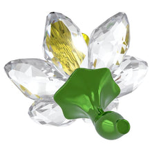 Load image into Gallery viewer, Florere: Daffodil