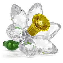 Load image into Gallery viewer, Florere: Daffodil