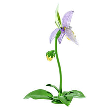 Load image into Gallery viewer, Florere: Lady Slipper Orchid