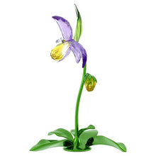 Load image into Gallery viewer, Florere: Lady Slipper Orchid
