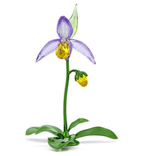 Load image into Gallery viewer, Florere: Lady Slipper Orchid