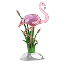 Load image into Gallery viewer, Idyllia: Flamingo