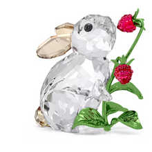 Load image into Gallery viewer, 001-031-01709.png
