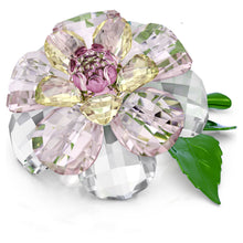 Load image into Gallery viewer, 001-031-01740.jpg

