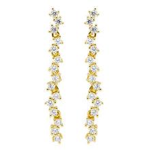 Load image into Gallery viewer, Ellani CZ Drop Earrings
