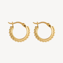 Load image into Gallery viewer, Chia Hoop Earrings
