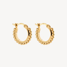 Load image into Gallery viewer, Chia Hoop Earrings
