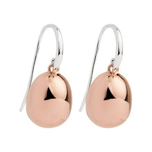 Load image into Gallery viewer, Najo Hatchling Earrings
