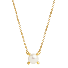 Load image into Gallery viewer, NAJO Moana Pearl Necklace - N7519
