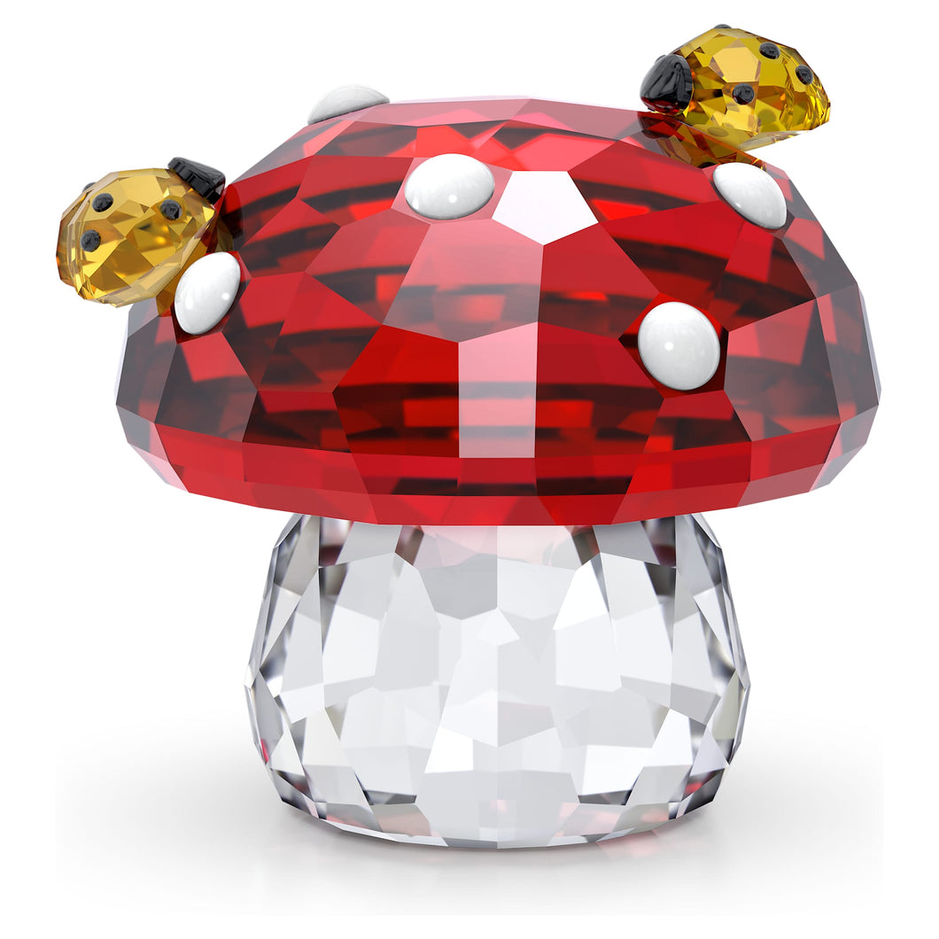 Idyllia: Mushroom and Ladybugs