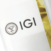 Load image into Gallery viewer, 18ct White Gold 2.45ct Diamond Halo Stud Earrings
