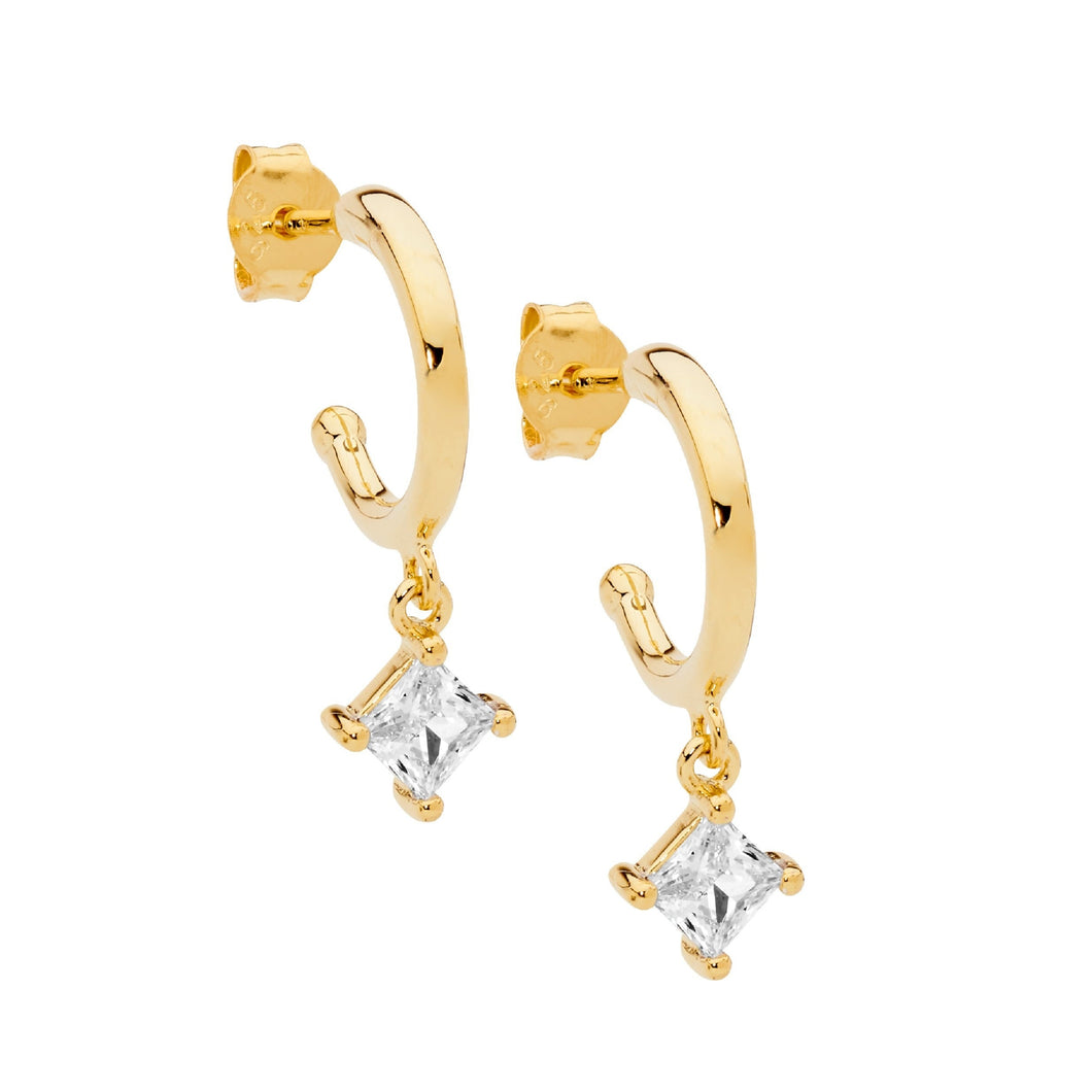 Hoop Earrings