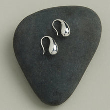 Load image into Gallery viewer, Eau Earrings
