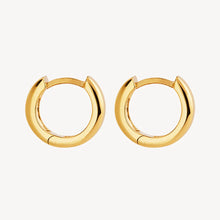 Load image into Gallery viewer, Carrousel Huggie Earrings
