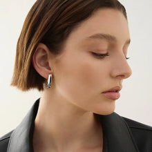 Load image into Gallery viewer, Swan Huggie
