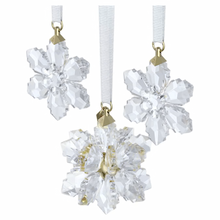 Load image into Gallery viewer, Annual Edition: 3D Ornament Set 2026
