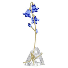 Load image into Gallery viewer, Florere: Blue Bellflower
