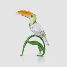 Load and play video in Gallery viewer, Idyllia: Toucan
