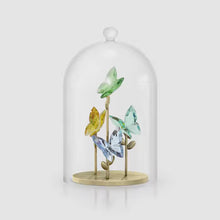 Load and play video in Gallery viewer, Jungle Beats:  Butterfly Bell Jar
