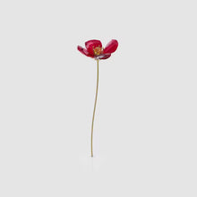 Load and play video in Gallery viewer, Garden Tales: Red Poppy
