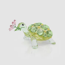 Load and play video in Gallery viewer, Idyllia: Tortoise &amp; Daisy
