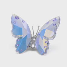 Load and play video in Gallery viewer, Dragonfly Capsule: Butterfly
