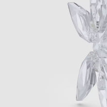 Load and play video in Gallery viewer, Annual Edition: 3D Ornament Set 2025
