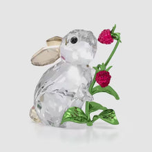 Load and play video in Gallery viewer, Idyllia: Rabbit and Raspberries
