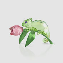 Load and play video in Gallery viewer, Idyllia: Chameleon and Tulip

