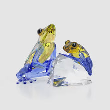 Load and play video in Gallery viewer, Idyllia: Frog &amp; Baby
