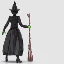 Load and play video in Gallery viewer, Wicked: Elphaba Thropp
