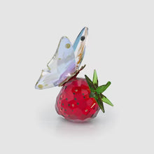 Load and play video in Gallery viewer, Idyllia: Butterfly &amp; Strawberry
