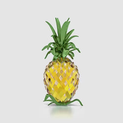 Load image into Gallery viewer, 
