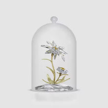 Load and play video in Gallery viewer, Florere: 130th Anniversary Bell Jar
